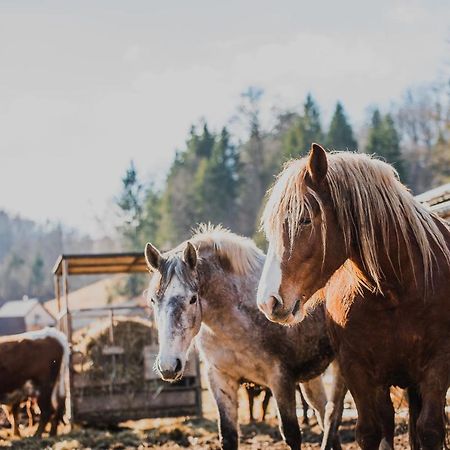 Farm Stay Zurej Šentjur Eksteriør billede