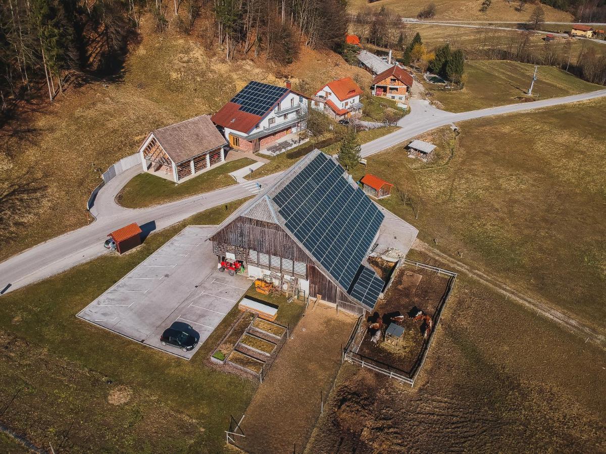 Farm Stay Zurej Šentjur Eksteriør billede