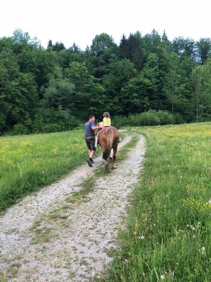 Farm Stay Zurej Šentjur Eksteriør billede